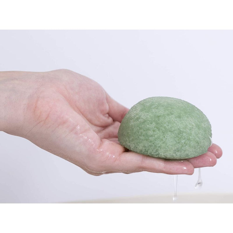 Daylogic Green Tea Konjac Cleansing Sponge